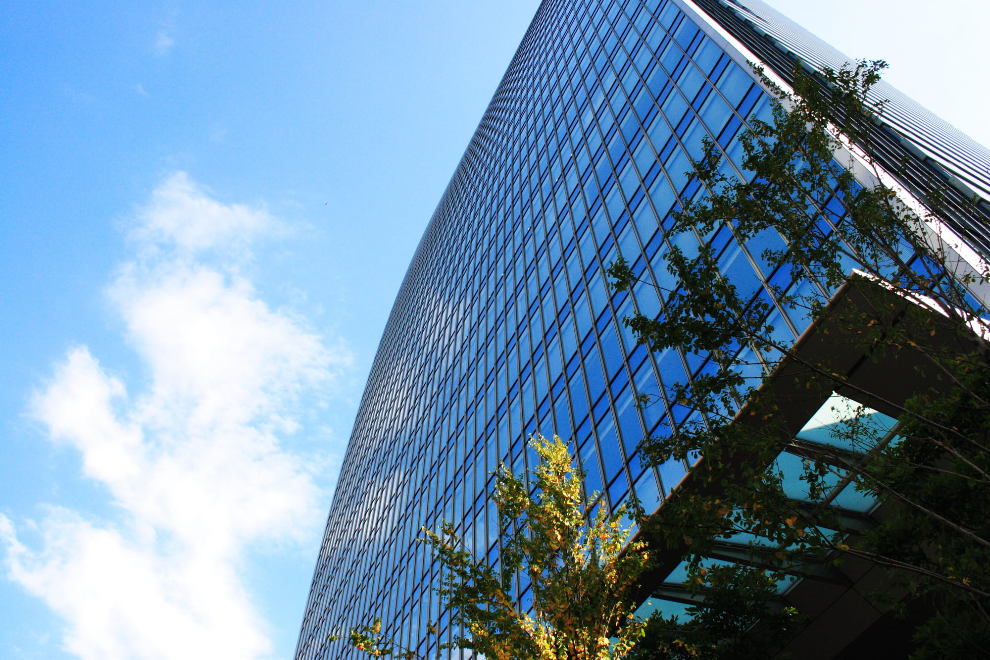 プライバシーポリシーのイメージ画像